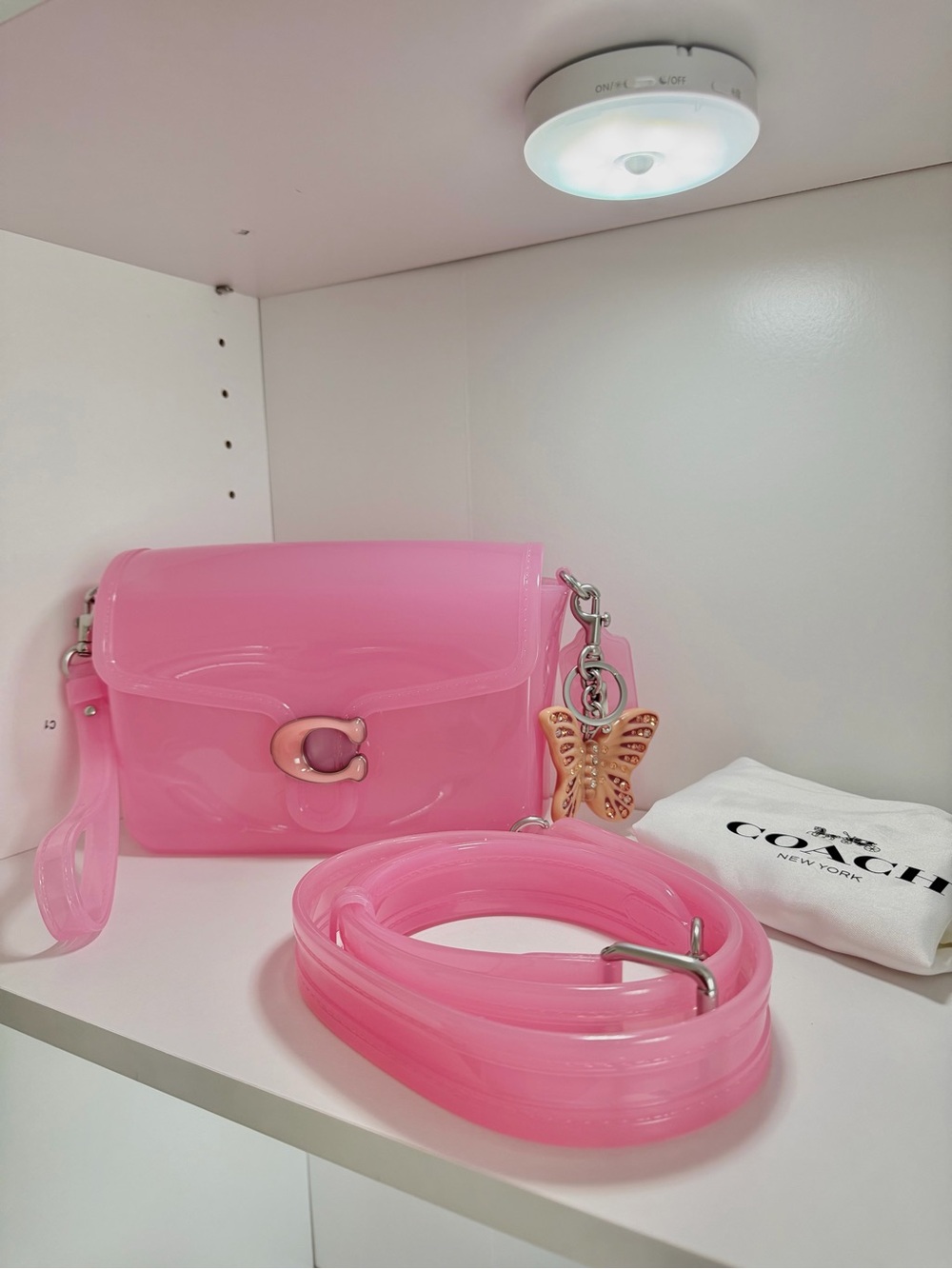 Coach Pink Jelly Crossbody and Wrislet